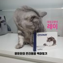플러스씨스 이미지