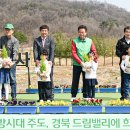 드림밸리 티스토리