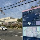 동구청 건너편 횡단보도 이미지