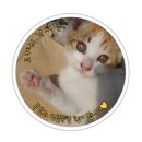 (주)이마트평택점 | 평택 이마트 팝업 행사_오사카 오지상 치즈케이크 남돈남산