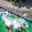 철책선 넘어 드디어 열린다" 국내 유일 2.87km 바다 절경 야간 트레킹 이미지