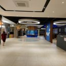 유황원스타 이미지