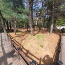 산정근린공원2 이미지