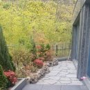 코끼리부동산공인중개사사무소 이미지