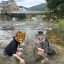 공주계곡 민박 이미지