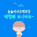 눈높이사고력코딩 체험기