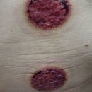 세조의원 이미지