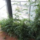 오늘의기쁨 이미지