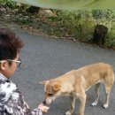 누렁이식당 이미지