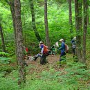 2024년 6차 장애인트레킹 숲체험 교육 (6/1) 황학산 수목원(여주) 6 이미지