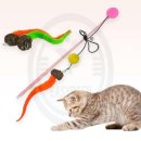 고양이 - 태백시 황지로 137 | 고양이