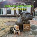 한식마당 | 남양주 도심역 한식 맛집 추천, 한옥마당 솥밥 정식 후기