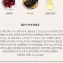 베스트 캣 이미지