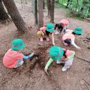 사라어린이집 이미지