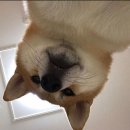 심안과의원 | [대구 달서구] 월성동 소곱창 맛집! “열성곱창” 후기!