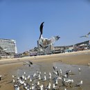 개항박물관 이미지