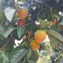 세곡동주민센터 이미지