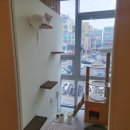 그루머스 스튜디오 이미지