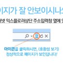 쪽파 이미지