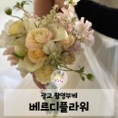 광교 부케 | 수원 예쁜 촬영부케 프리미엄 플라워 스튜디오 베르디 추천 후기
