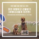 다녀올개 | 반려동물 친화관광도시 미션투어] 포천시 여행다녀올개 기념품 받기 이벤트 / 포천 기념품 투어 후기...