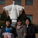 실로암목장 이미지