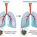 샤인동물메디컬센터 이미지
