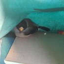 호반숲속작은도서관 이미지