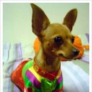 이쁜이한복 이미지