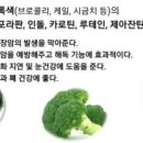 오색채 이미지