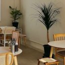 쌀국수집앞 이미지