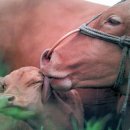 성당농장 이미지