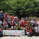 코리아나 이미지