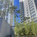 모던제이 음악학원 이미지