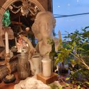 월드미션태권도 | 2025년을 마무리하며