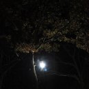 미르오토 이미지