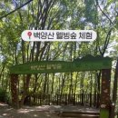 운수천계곡(1) 이미지