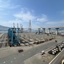 부두로L 이미지