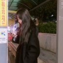 [분당] 내돈내산 붙임머리 후기 - 분당 라본헤어(리터치는 타샵에서..)