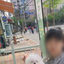 한일동물병원 - 군산시 월명로 509-3 | 한일동물병원