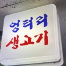 엉터리생고기 이미지