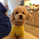 와르동물병원 이미지