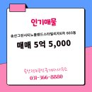 랜드럭키 공인중개사사무소 | 새솔동 아파트 송산그린시티노블랜드스타빌리지6차 송산럭키공인중개사사무소 매물