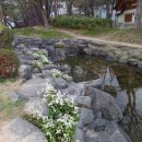 영산약국 | 양주 풍류 : 수제천
