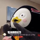 자동차피부과 이미지