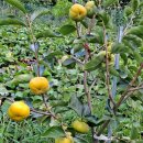 남산리농장 이미지