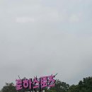 로하스로즈 펜션 이미지