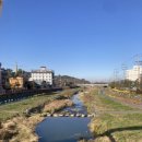 달거니해장국 아산도고점 이미지