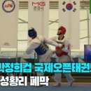 코리아 탑 태권도 이미지
