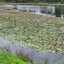 2023 양천 가을 문화 축제 이미지